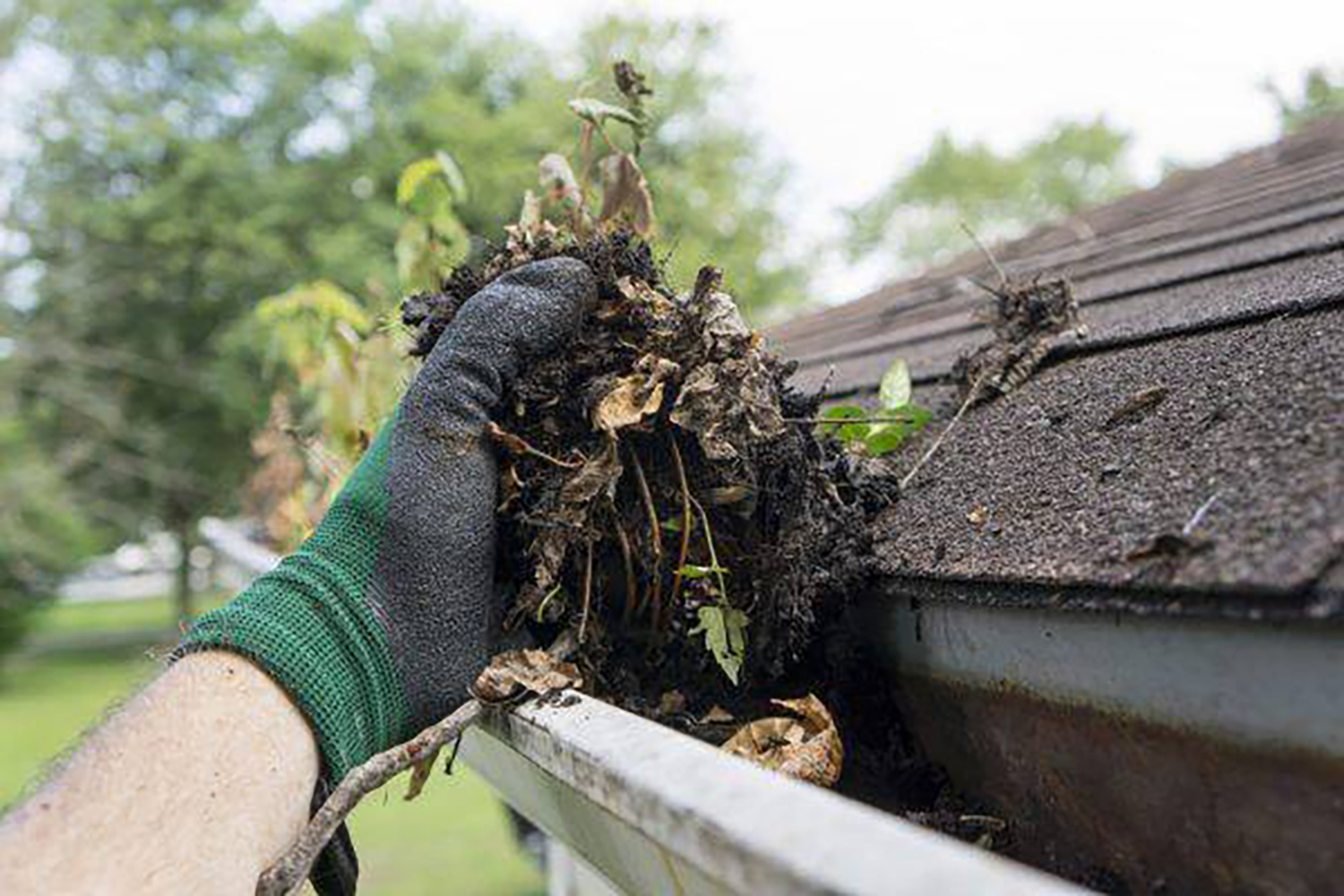 Gutter Cleaning Services Waxhaw, NC